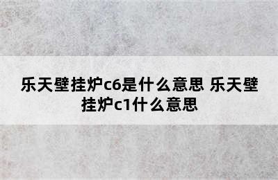 乐天壁挂炉c6是什么意思 乐天壁挂炉c1什么意思